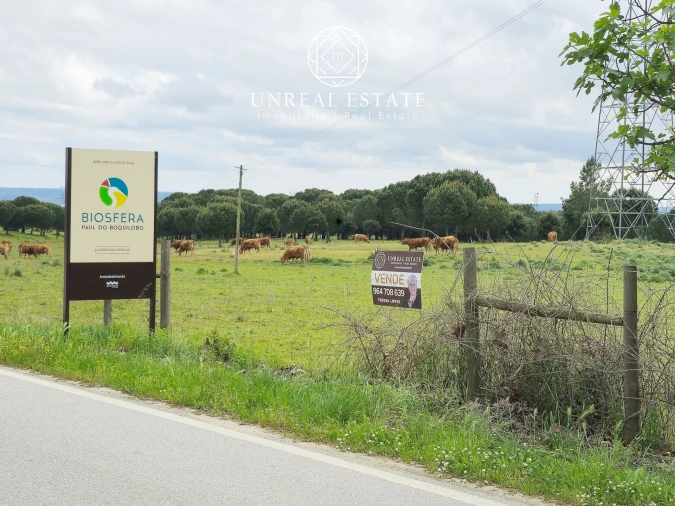 Terreno para Venda em Brogueira, Parceiros de Igreja e Alcorochel Foto 1