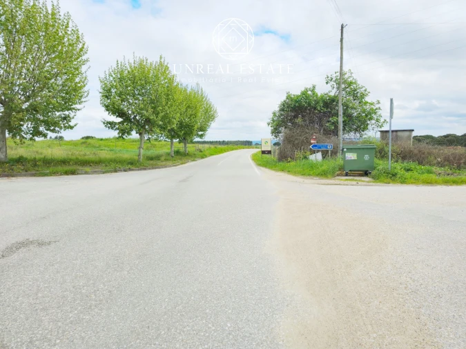 Terreno para Venda em Brogueira, Parceiros de Igreja e Alcorochel Foto 9