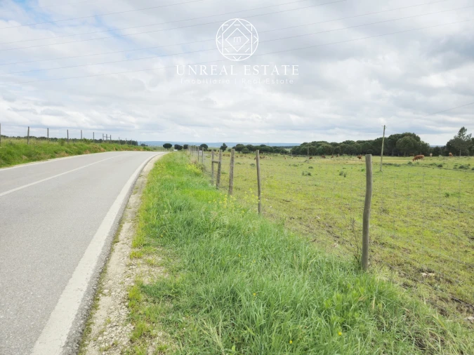 Terreno para Venda em Brogueira, Parceiros de Igreja e Alcorochel Foto 5
