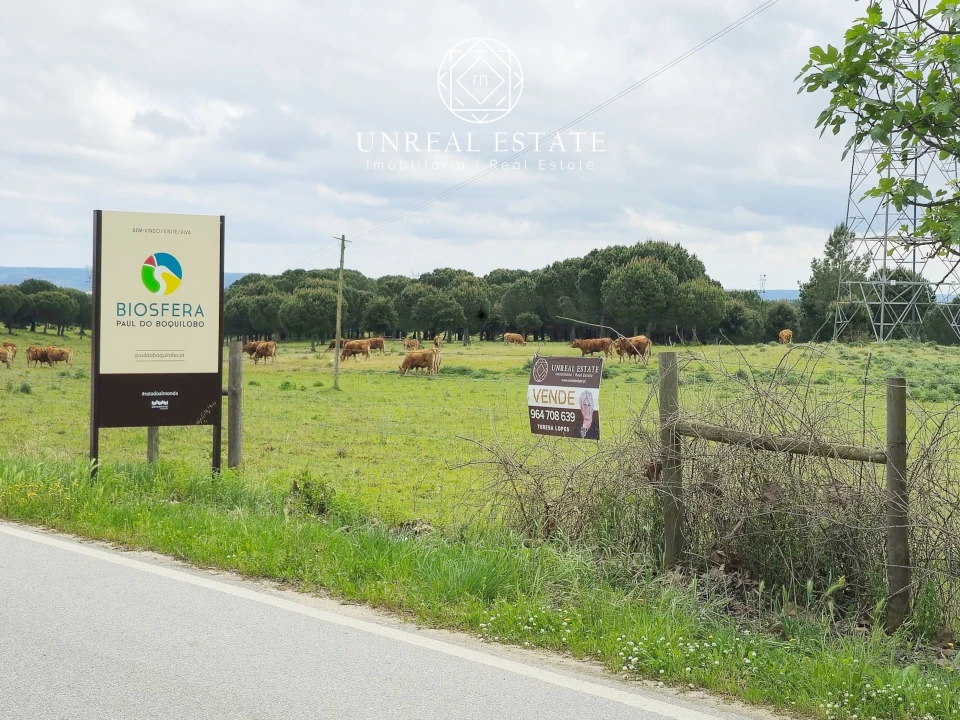 Terreno para Venda em Brogueira, Parceiros de Igreja e Alcorochel Foto 1