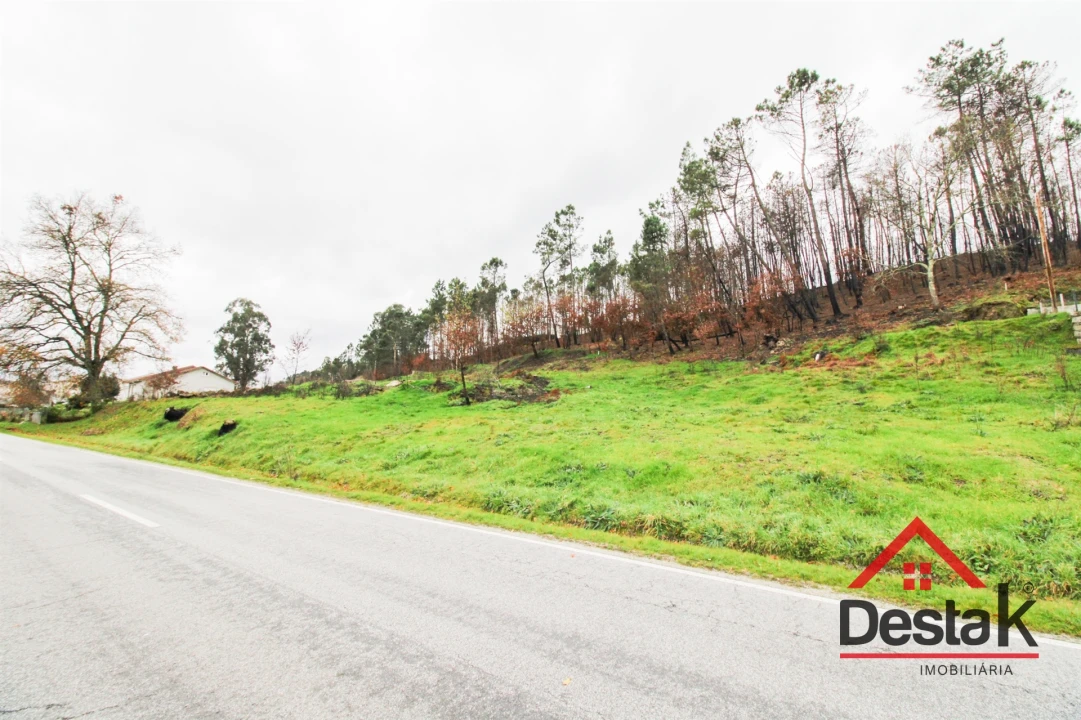 Terreno para Venda em Mamouros, Alva e Ribolhos Foto 4