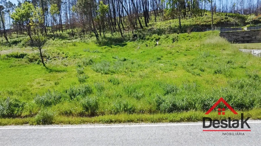 Terreno para Venda em Mamouros, Alva e Ribolhos Foto 9