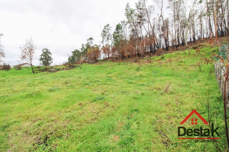 Terreno para Venda em Mamouros, Alva e Ribolhos Foto 2