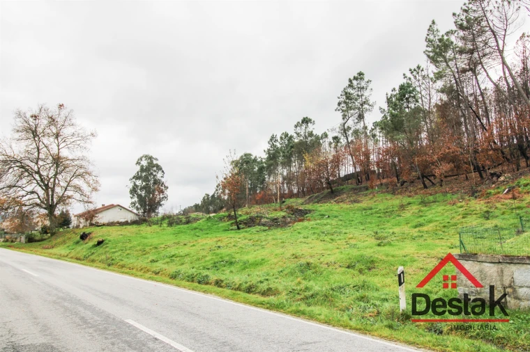 Terreno para Venda em Mamouros, Alva e Ribolhos Foto 3