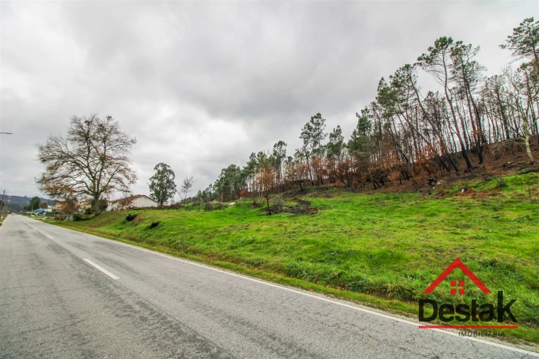 Terreno para Venda em Mamouros, Alva e Ribolhos Foto 6