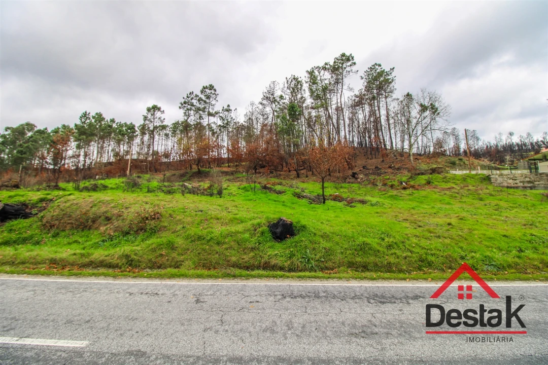 Terreno para Venda em Mamouros, Alva e Ribolhos Foto 3