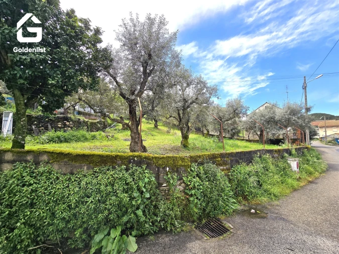 Terreno para Venda em Janeiro de Baixo Foto 7