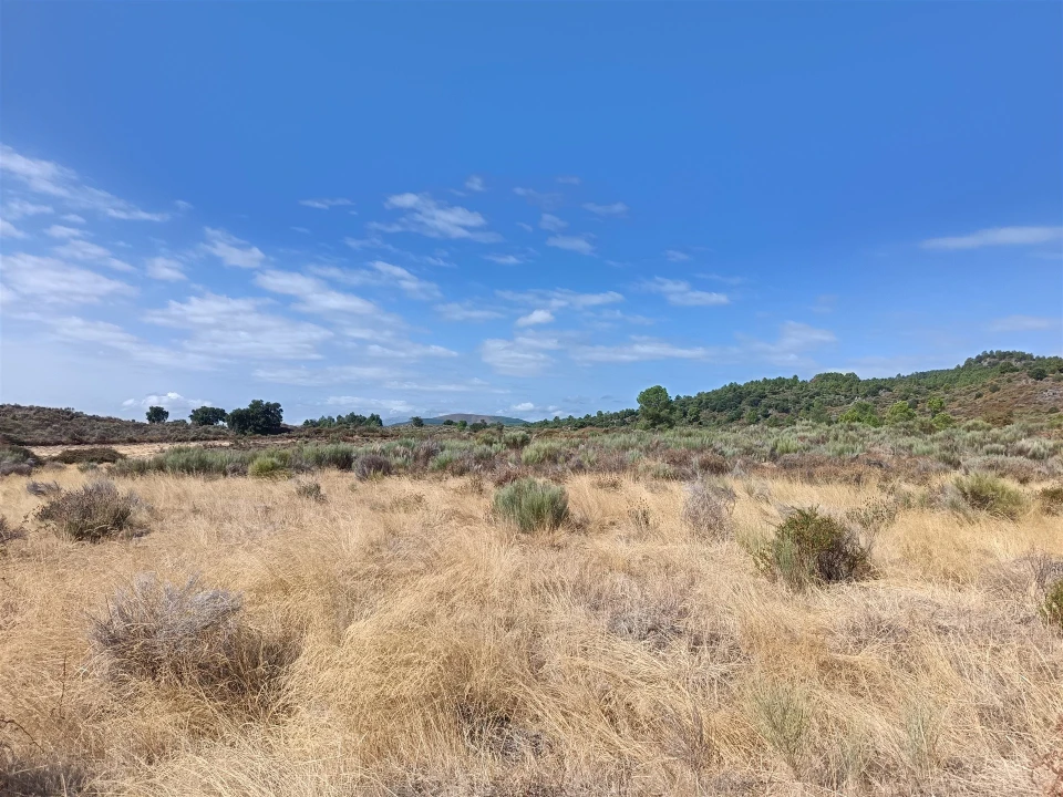 Terreno Agricola ou Rústico para Venda em Vale de Prazeres e Mata da Rainha Foto 18