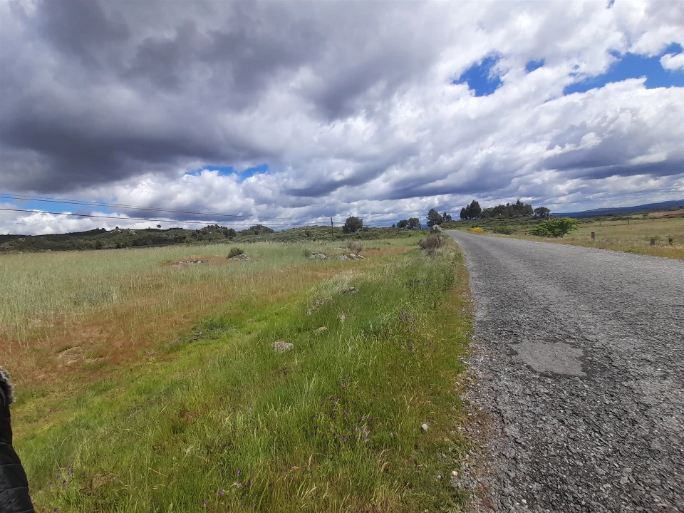 Terreno Agricola ou Rústico para Venda em Vale de Prazeres e Mata da Rainha Foto 10