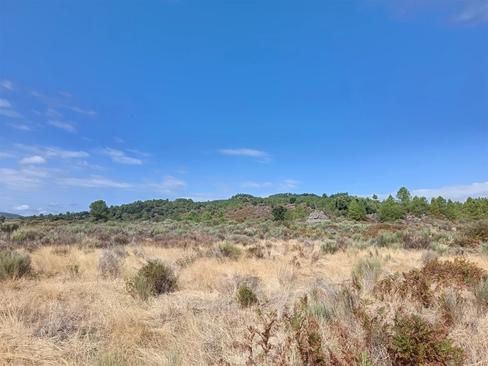 Terreno Agricola ou Rústico para Venda em Vale de Prazeres e Mata da Rainha Foto 19