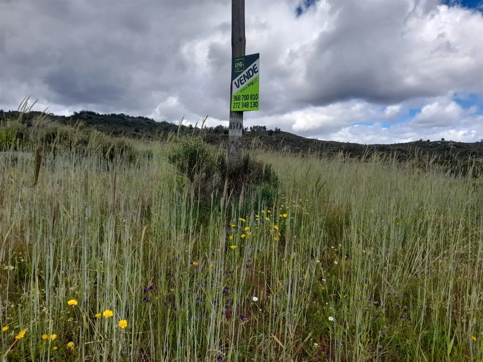Terreno Agricola ou Rústico para Venda em Vale de Prazeres e Mata da Rainha Foto 13