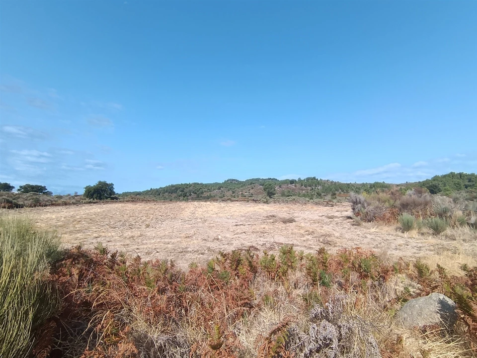 Terreno Agricola ou Rústico para Venda em Vale de Prazeres e Mata da Rainha Foto 14