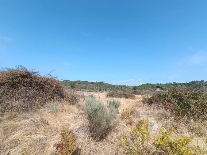 Terreno Agricola ou Rústico para Venda em Vale de Prazeres e Mata da Rainha Foto 16