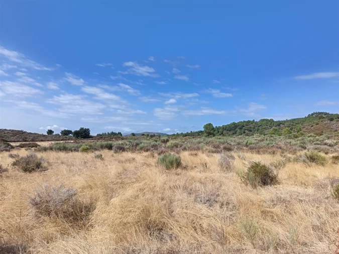 Terreno Agricola ou Rústico para Venda em Vale de Prazeres e Mata da Rainha Foto 18