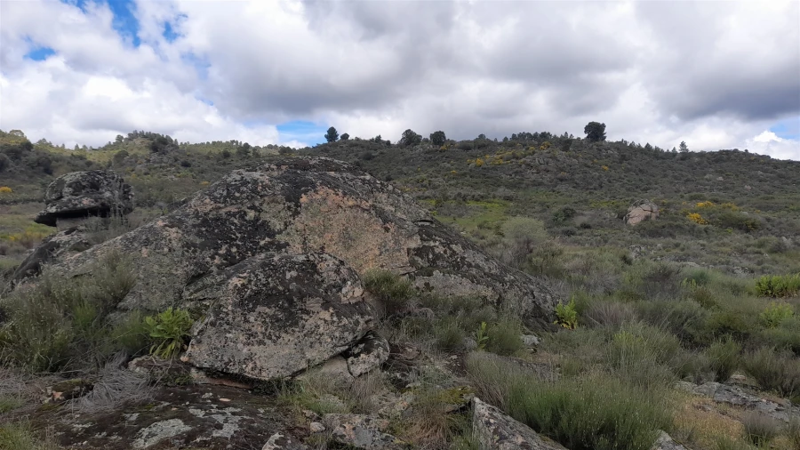 Terreno Agricola ou Rústico para Venda em Vale de Prazeres e Mata da Rainha Foto 6