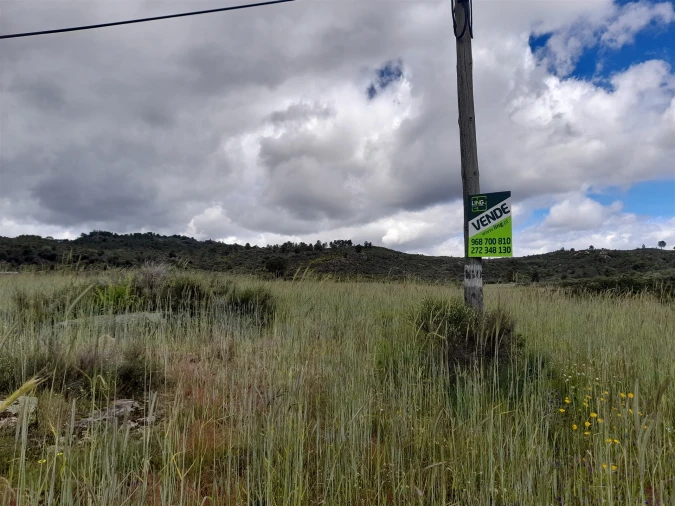 Terreno Agricola ou Rústico para Venda em Vale de Prazeres e Mata da Rainha Foto 12