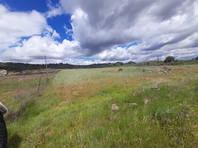 Terreno Agricola ou Rústico para Venda em Vale de Prazeres e Mata da Rainha Foto 11