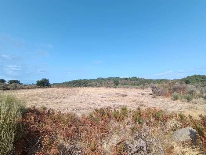 Terreno Agricola ou Rústico para Venda em Vale de Prazeres e Mata da Rainha Foto 14