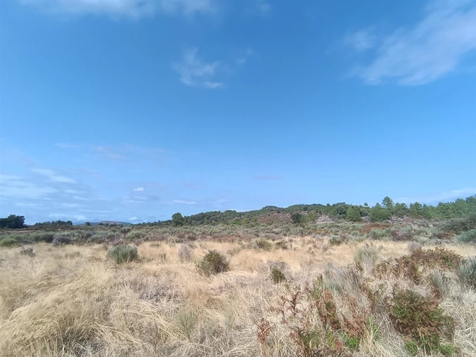 Terreno Agricola ou Rústico para Venda em Vale de Prazeres e Mata da Rainha Foto 20