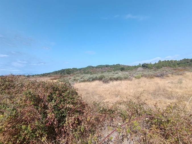 Terreno Agricola ou Rústico para Venda em Vale de Prazeres e Mata da Rainha Foto 17