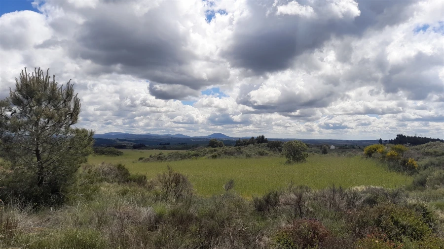 Terreno Agricola ou Rústico para Venda em Vale de Prazeres e Mata da Rainha Foto 8