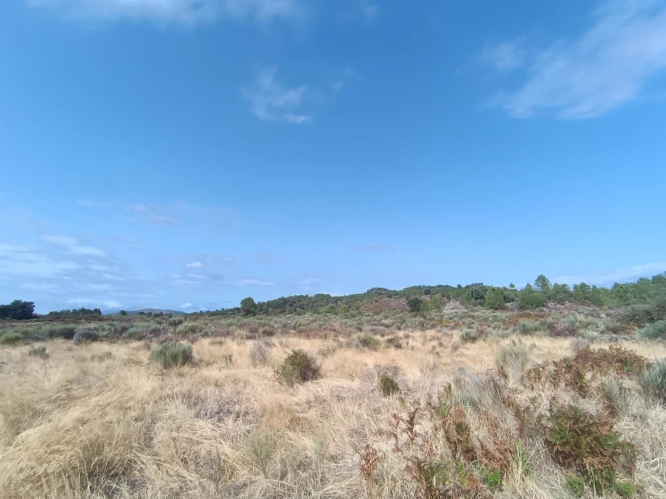 Terreno Agricola ou Rústico para Venda em Vale de Prazeres e Mata da Rainha Foto 20