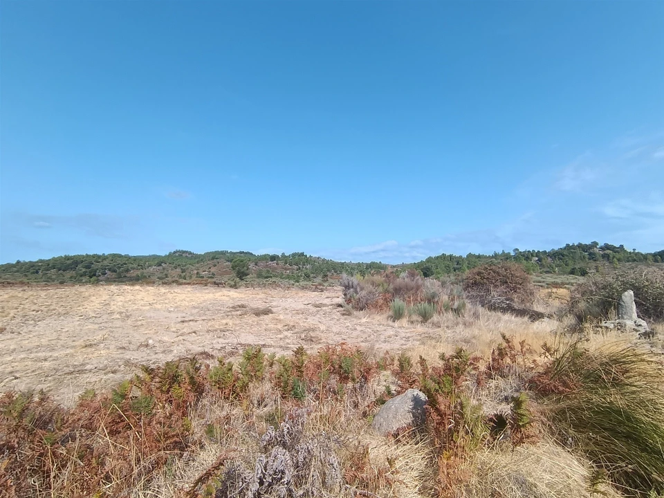 Terreno Agricola ou Rústico para Venda em Vale de Prazeres e Mata da Rainha Foto 15