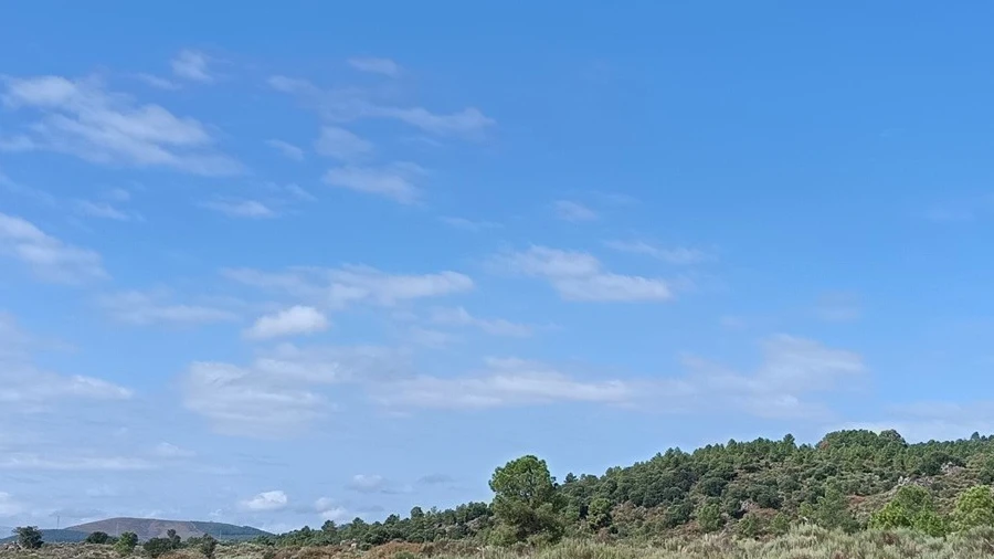 Terreno Agricola ou Rústico para Venda em Vale de Prazeres e Mata da Rainha