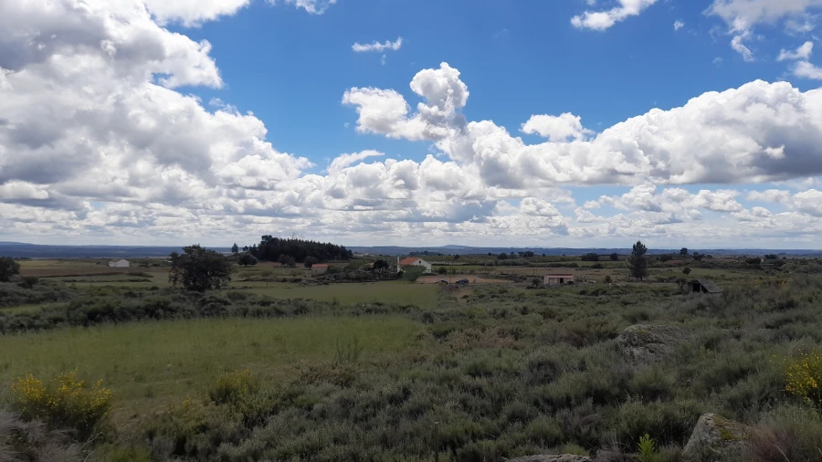 Terreno Agricola ou Rústico para Venda em Vale de Prazeres e Mata da Rainha