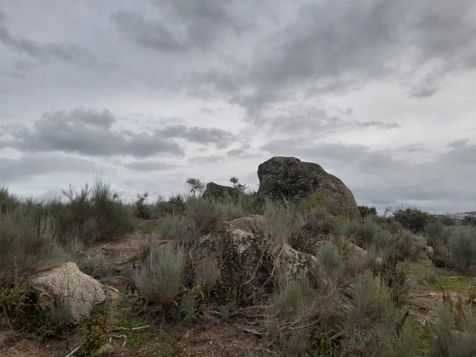 Quinta T0 para Venda em Póvoa de Rio de Moinhos e Cafede Foto 25