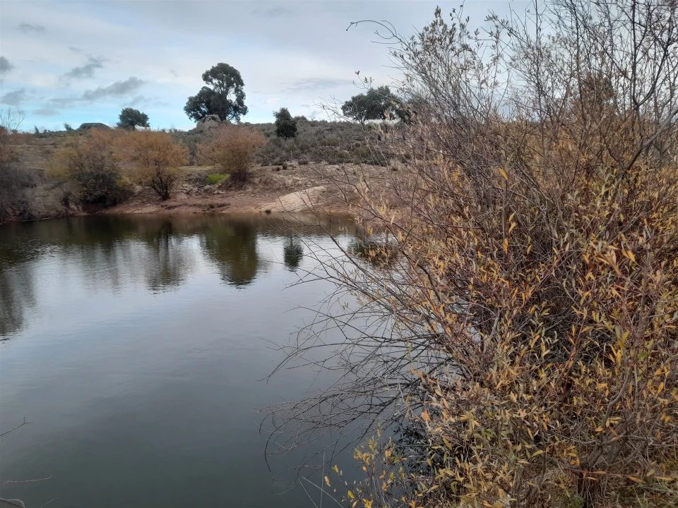 Quinta T0 para Venda em Póvoa de Rio de Moinhos e Cafede Foto 10