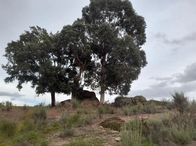 Quinta T0 para Venda em Póvoa de Rio de Moinhos e Cafede Foto 24