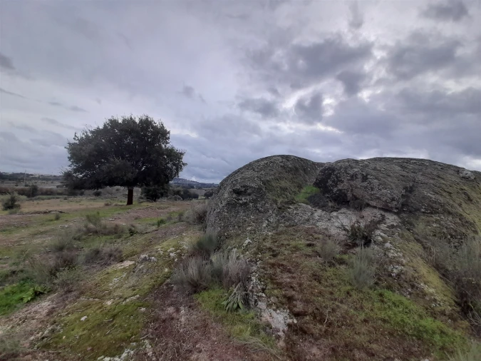 Quinta T0 para Venda em Póvoa de Rio de Moinhos e Cafede Foto 33