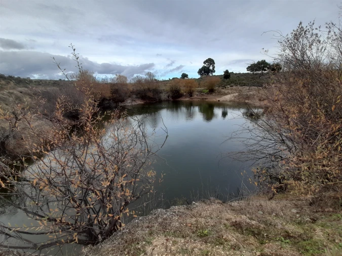 Quinta T0 para Venda em Póvoa de Rio de Moinhos e Cafede Foto 8