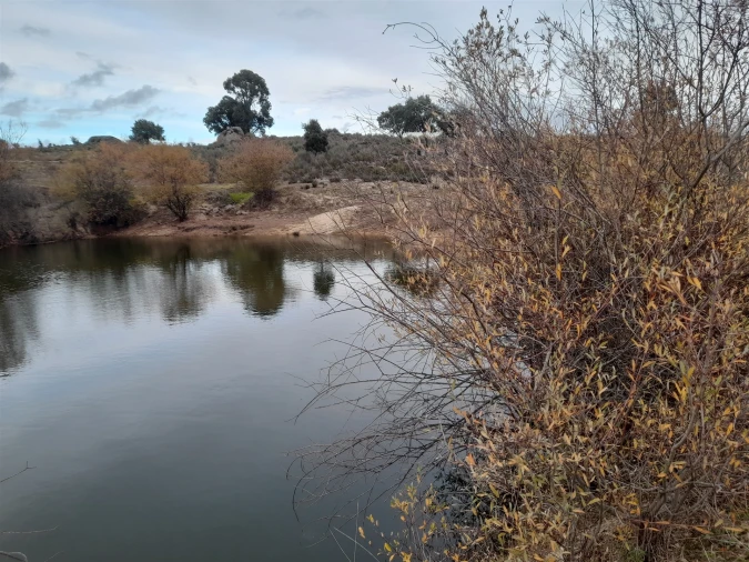 Quinta T0 para Venda em Póvoa de Rio de Moinhos e Cafede Foto 10