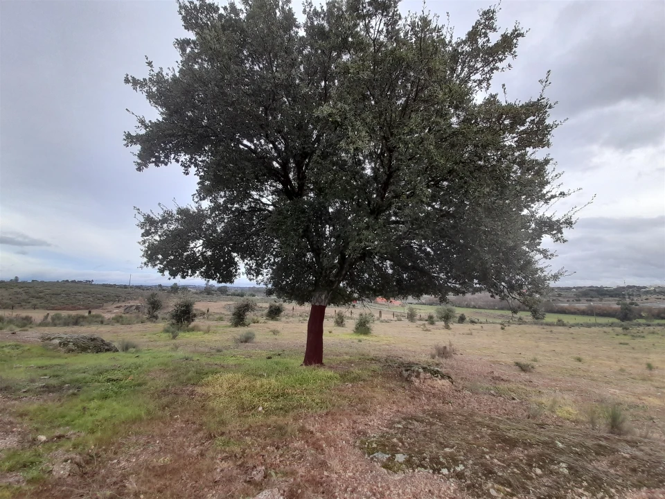 Quinta T0 para Venda em Póvoa de Rio de Moinhos e Cafede Foto 26