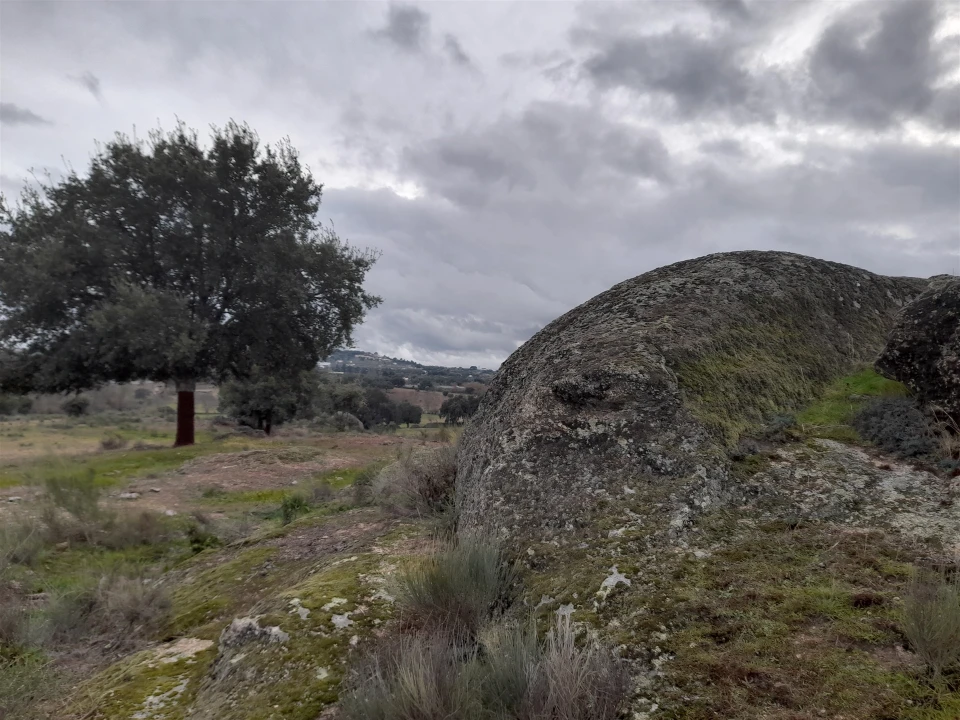 Quinta T0 para Venda em Póvoa de Rio de Moinhos e Cafede Foto 32
