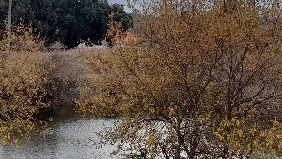 Quinta T0 para Venda em Póvoa de Rio de Moinhos e Cafede