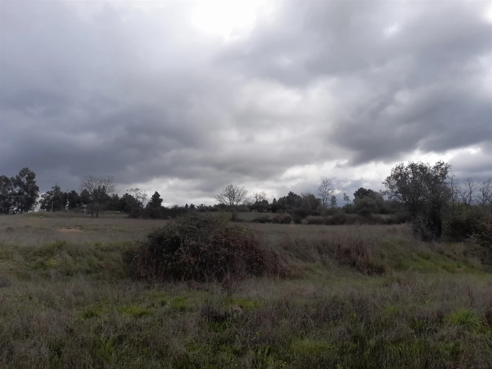 Terreno Agricola ou Rústico para Venda em Peraboa Foto 17