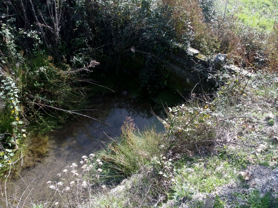 Terreno Agricola ou Rústico para Venda em Peraboa Foto 9