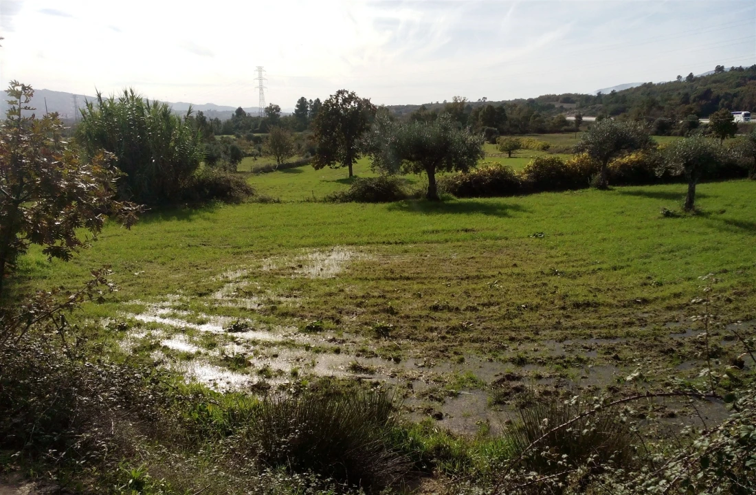 Terreno Agricola ou Rústico para Venda em Peraboa Foto 5