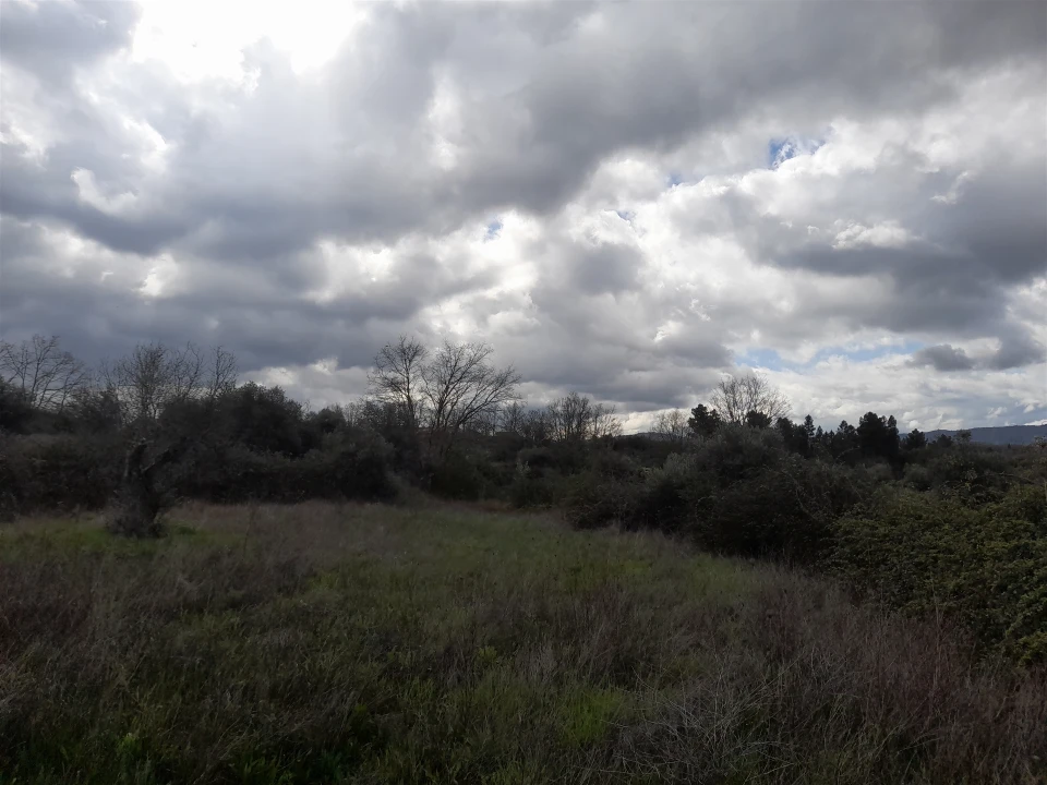 Terreno Agricola ou Rústico para Venda em Peraboa Foto 18