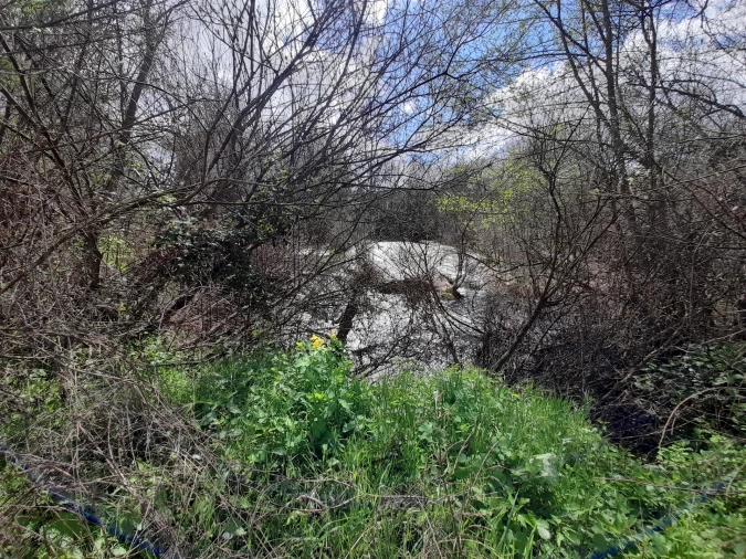Terreno Agricola ou Rústico para Venda em Peraboa Foto 33
