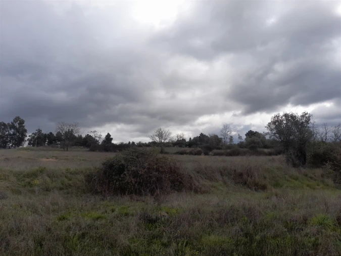 Terreno Agricola ou Rústico para Venda em Peraboa Foto 17