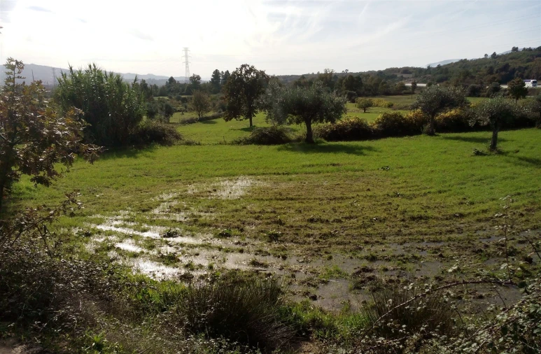 Terreno Agricola ou Rústico para Venda em Peraboa Foto 5