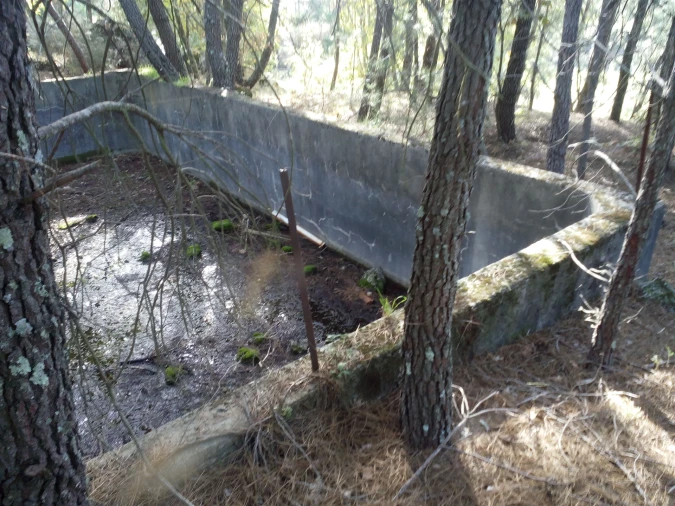 Terreno Agricola ou Rústico para Venda em Peraboa Foto 15