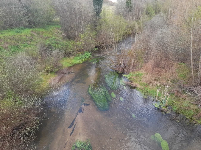 Terreno Agricola ou Rústico para Venda em Peraboa Foto 24