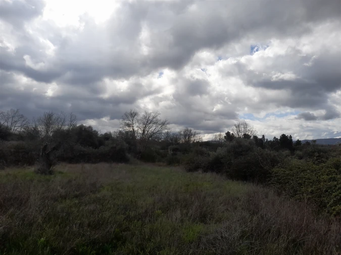 Terreno Agricola ou Rústico para Venda em Peraboa Foto 18