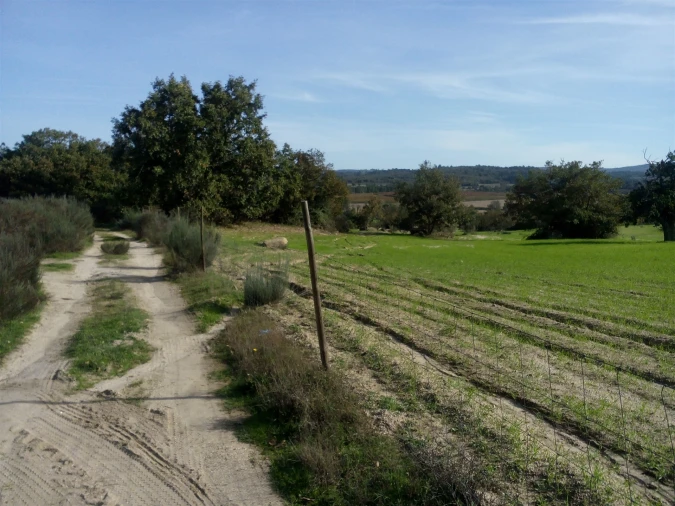 Terreno Agricola ou Rústico para Venda em Peraboa Foto 13