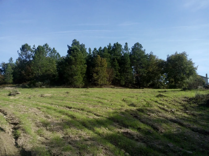 Terreno Agricola ou Rústico para Venda em Peraboa Foto 12